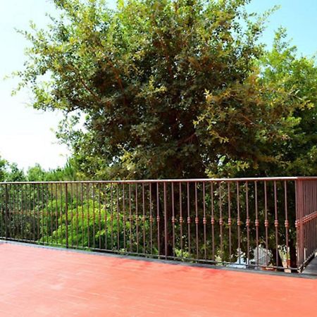 B&B Le Tre Rose Di Maria Pedara Bagian luar foto