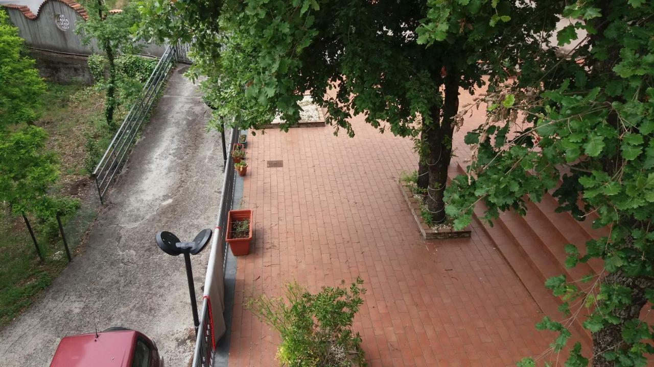 B&B Le Tre Rose Di Maria Pedara Bagian luar foto