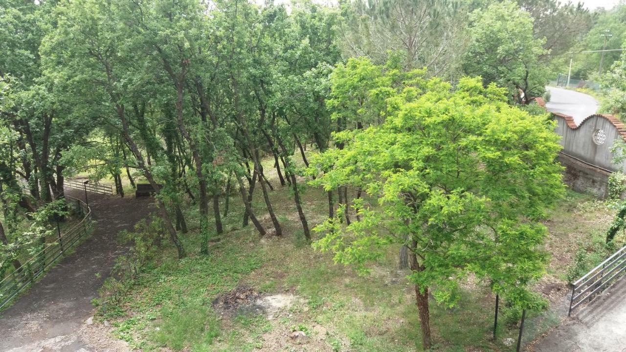 B&B Le Tre Rose Di Maria Pedara Bagian luar foto