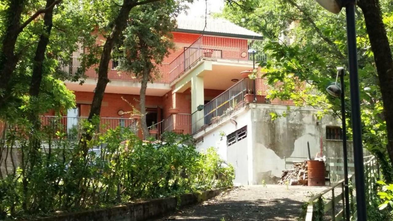 B&B Le Tre Rose Di Maria Pedara Bagian luar foto