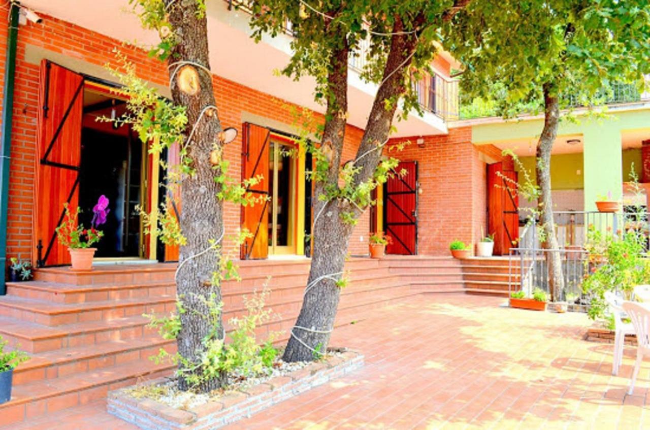 B&B Le Tre Rose Di Maria Pedara Bagian luar foto